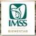IMSS Bienestar como sistema de salud único