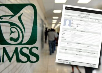 Vigencia IMSS: ¿Cómo sé si estoy dado de alta con mi sueldo real?