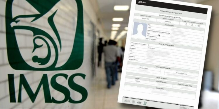 Vigencia IMSS: ¿Cómo sé si estoy dado de alta con mi sueldo real?